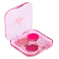 Cuarteto de sombras para ojos Intensity glam- Pink Up