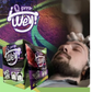 Shampoo tinte express -Q prro wey